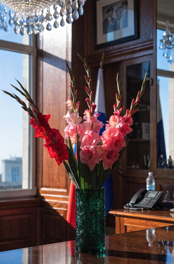 Российские гладиолусы поступили в продажу